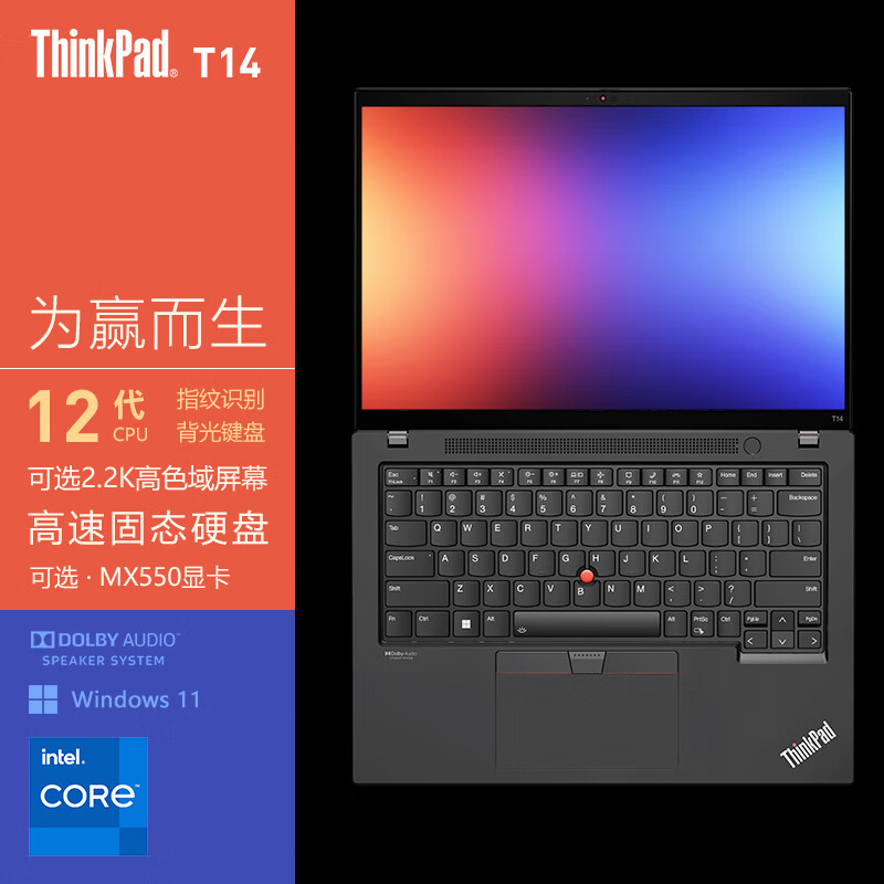 ThinkPadThinkPad T14和惠普（HP）Pavilion 14英寸笔记本电脑 英特尔酷睿六核256G商务办公 Windows 11 家庭版差异表现在哪些地方？硬件升级的灵活性区别是什么？